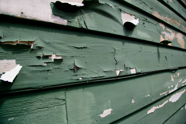 Best Wood Siding Installation  in Brownfields, LA