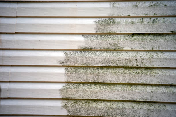 Historical Building Siding Restoration in Brownfields, LA