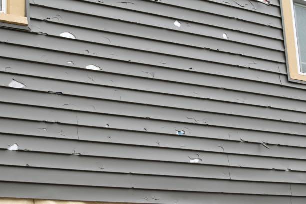 Best Insulated Siding Installation  in Brownfields, LA